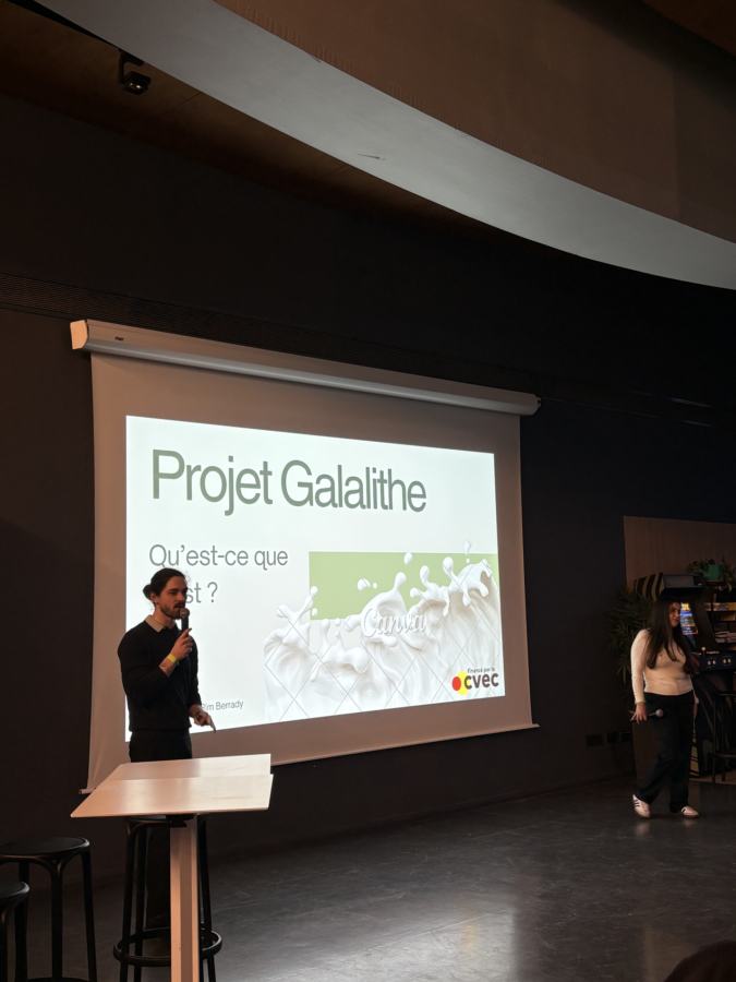 Présentation du projet Galalithe sur scène