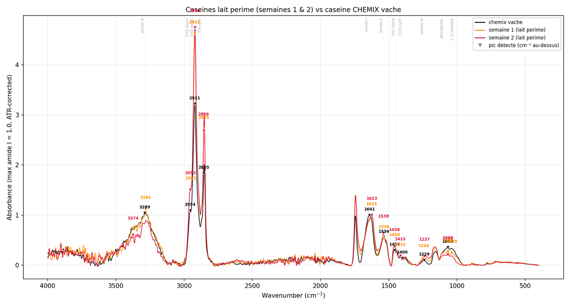Spectres ATR-FTIR normalisés de la référence CHEMIX et de deux fractions extraites de lait périmé